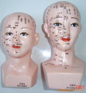 針灸模型生產(chǎn)廠(chǎng)家
