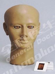 高級眼內視網(wǎng)膜病變檢查模型